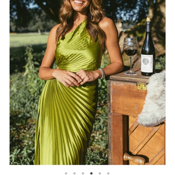 vestique Dresses & Skirts - Vestique Show Stopper Midi Dress